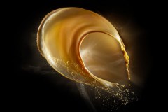 121015_125_d800_biwastock-3148