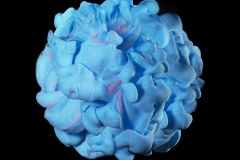 121112_128d800_liquidcloudinwater0664_1