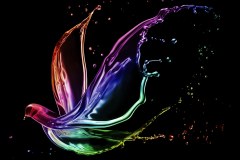 85B_100628_136647_02