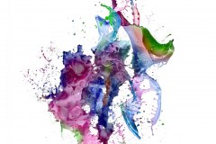 paint-water-splash-biwastudio_002ｂ